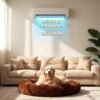 71gei8B7JuL._SL1500_.jpg ZEXSAZONE Round Donut Pet Bed for Cats and Puppies Dogs mat, Cozy and Plush, Raised Bedside Support, Both Sides Use Like 2 in One, Washable, Sizes for Small, Medium, and Large Pets. (Coffee, Medium)