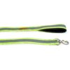 PetWale Dog Leash with Padded Handle | Suited for Walking, Running, Training & More | Reflective Green Nylon | Easy to Clean & Maintain | Durable & Sturdy | L: 5 feet, W: 1.5 inches