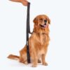 HUFT Basics Dog Leash - Classic Black - S