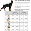 71hiq1F0aRL._SL1500_.jpg Emily Pets Police-K9 Dog Harness,No Pull Harness,Breathable and Easy Control with Handle & Leash Attachment ,Easy Walking Training for Dog,Dog Training No Escape Adjustable Reflective Vest(S,Dark Blue)