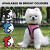 71hmFnN8xdL._SL1080_.jpg Urbane Home Reflective Dog Harness With Adjustable Leash|Breathable Polyester Mesh Fabric With Top carry Handle|Small Size|HAT-818|Comfortable No-Pull Grip|Quick Release Buckles|Stylish Design|Blue
