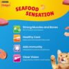 71i0lJji1EL._SL1500_.jpg Purina Friskies Seafood Sensations Adult Dry Cat Food, 2.5kg, Contains Tuna, Salmon, Snapper, Crab & Shrimp Flavours