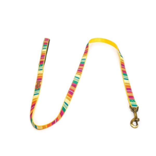 PetWale Dog Leash with Padded Handle | Suited for Walking, Running, Training & More | Colourful Stripes Print | Easy to Clean & Maintain | Durable & Sturdy | L: 5 feet, W: 0.75 inches