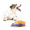 BarkButler x FOFOS Garden Butterfly Plush - Soft & Squeaky Toys for Dogs, Dog Toys for Small to Medium Dogs (0-20kgs) - Blue