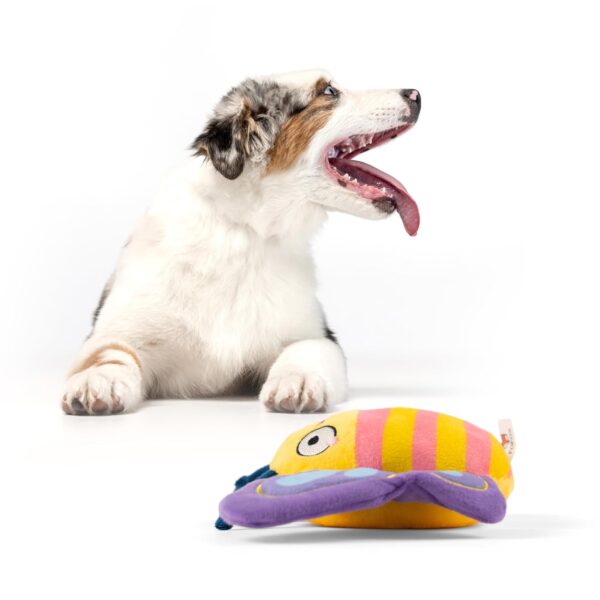 BarkButler x FOFOS Garden Butterfly Plush - Soft & Squeaky Toys for Dogs, Dog Toys for Small to Medium Dogs (0-20kgs) - Blue