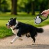 71iI0b3ZgoL._SL1024_.jpg Retractable Dog Leash for Walking, Jogging, Training | One Button Brake with Premium Handgrip Suitable for Dogs up to 20Kgs, 5m Long (Blue)