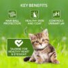 71iJBkEiM9L._SL1500_.jpg Meat Up Kitten(1-12 months) Dry Cat Food ,Ocean Fish,600g (Buy 1 Get 1 Free ) Total 1.2Kg Pack