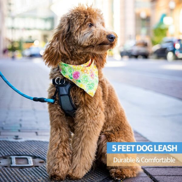 Petology Dog Leash 5FT Long, ½ Inch Thick Reflective Heavy Duty Rope with Anti-Slip Padded Handle for Small & Medium Dogs Blue