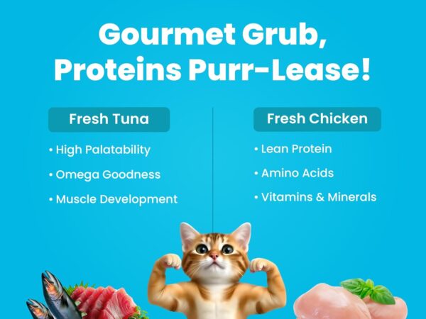 71iUYCRo3CL._SL1500_.jpg BARK OUT LOUD- Wet Adult Cat Food | Fresh Tuna & Chicken | Taurine | Salmon Oil- Omega Taurine| Gravy Cat Food for All Breeds | Pack of 6 (85 G x 6)