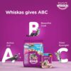 Whiskas Junior Mother Cat & Kitten (2-12 Months) Dry Cat Food, Ocean Fish Flavour, 450 g, Contains 41 Essential Nutrients, Complete & Balanced Nutrition for Mother Cats & Kittens (Pack of 2)