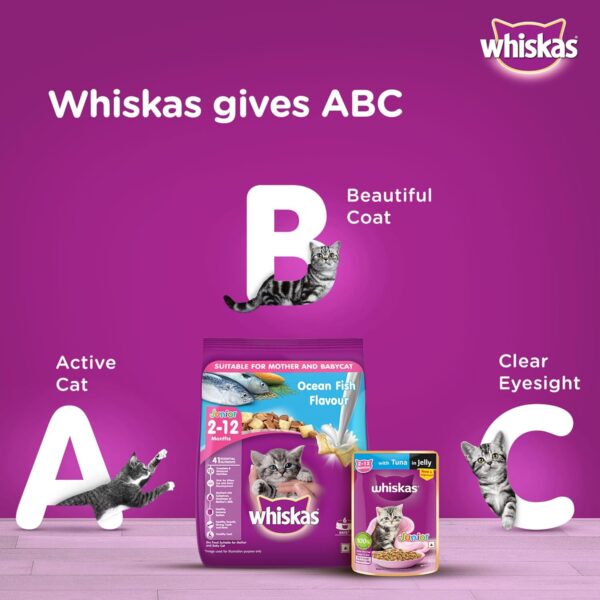 Whiskas Junior Mother Cat & Kitten (2-12 Months) Dry Cat Food, Ocean Fish Flavour, 450 g, Contains 41 Essential Nutrients, Complete & Balanced Nutrition for Mother Cats & Kittens (Pack of 2)