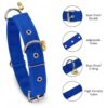 Dog Collar Belt And Leash Set For Large Dogs, Dog Stylish Nylon Leash Belts With Bell - Labrador, Golden Retriever, Pitbull, German Shepherd, Husky, Doberman (Large, Blue),60X3.1 Cm