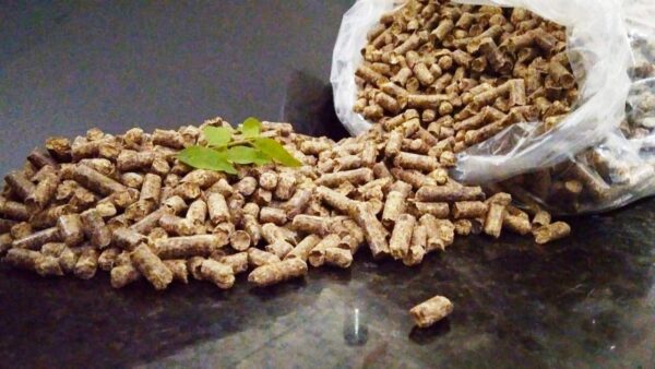 WISDOM Wood CAT Litter - Natural Wood Flavour | Biodegradable | Flushable | 99% Dust Free Non Clumping | Organic Cat Litter | Used for Cats,Rabbits, Hamsters, Birds