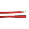 PetWale Dog Leash with Padded Handle | Suited for Walking, Running, Training & More | Red Fabric | Easy to Clean & Maintain | Durable & Sturdy | L: 5 feet, W: 1 inch