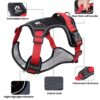71jZXtiTyL._SL1024_.jpg Qpets® No Pull Dog Harness with Safety Reflective Strip Quick Release Buckle Adjustable Size Easy Control Handle for Medium Large Dog (Red, XL, Recommended Weight: 22.5kg-45kg)
