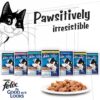 71jhEmHF0dL._SL1200_.jpg Purina Felix® As Good As It Looks Wet Food for Adult Cats|Complete and Balanced Cat Food |Chicken Flavour|Pack of 24 Pouches (12 x 85 g)