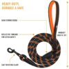 71jrVrtUbXL._SL1500_.jpg ACTIVE PETS Strong Dog Rope Leash with Soft Comfortable Padded Handle and Highly Reflective Threads, Dog Leash for Small Medium and Large Dogs, Puppy Leash for Training Running and Walking (Orange)
