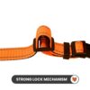 WOOFLIX Reflective Dog Collar For Training And Walks|Adjustable Nylon Training Collar With Tactical Buckle And D-Ring For Medium And Large Dogs|Reflective Dog Collar|(Medium, Orange, 13 Cm X 15 Cm)