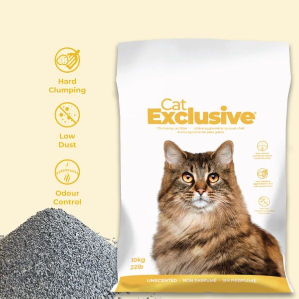 Cat Litter for All Breed Cats Scoopable, Unscented, Clumping - User-Friendly Solution for All Cat Owners New Packaging 10 Kg Bag Pack of 2