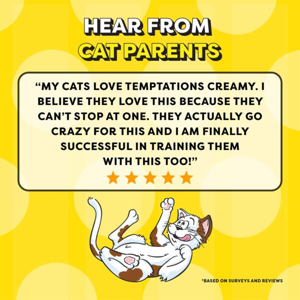 Temptations Creamy Purrrrr-ée Lickable Cat Treats, Salmon & Cheese Flavour, 48 G, Made with Real Fish, Goodness of Protein, Vitamins & Minerals,All Life Stages