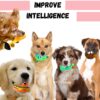 71kNUIualUL._SL1500_.jpg Sage Square Premium Squeaky Toy Set of 5 for Dogs - Durable, Chewable, Rubber Toys, Multiple Fun Shapes & Colors for Interactive Play, Teething Relief, Keeps Entertained, Happy (Combo No. 7)