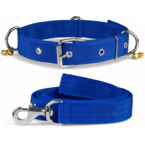 Dog Collar Belt And Leash Set For Large Dogs, Dog Dog Collar Belt And Leash Set For Large Dogs, Dog Stylish Nylon Leash Belts With Bell - Labrador, Golden Retriever, Pitbull, German Shepherd, Husky, Doberman (Large, Blue),60X3.1 Cm