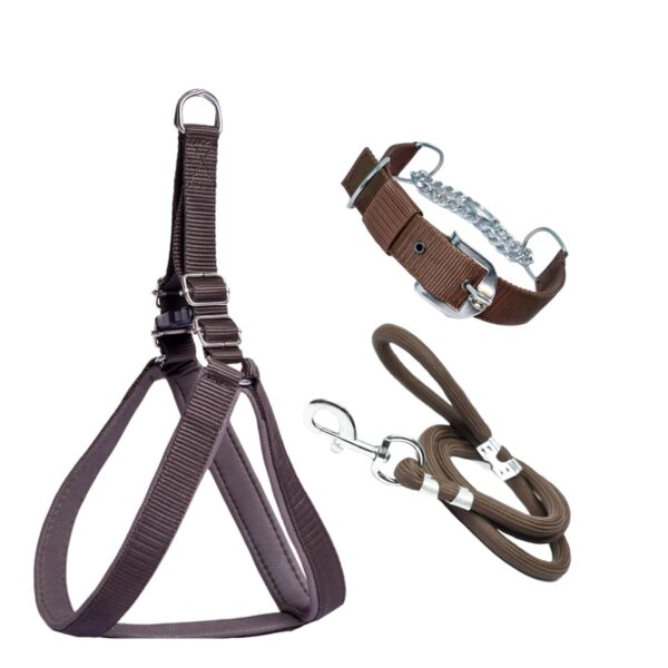 Stainless Steel Nylon Dog Harness with Choke Collar | Adjustable Durable Training & Walking Gear for Small, Medium & Large Dogs