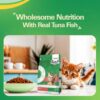 71kyc4qz-wL._SL1500_.jpg Kitten Dry Cat Food – Tuna Fish Flavor | 1kg