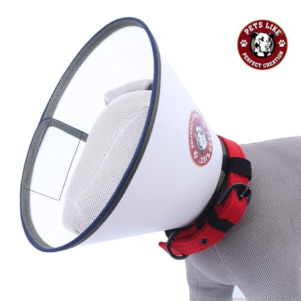 Petslike Elizabethan Collar (Size 7-For Cats and small Dogs), Off White (PL5195)