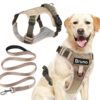 Dog Harness with Name id Customized for Dogs Large Medium Small Puppy All Breeds No Pull Harness Reflective Vest Harness Belt Adjustable Personalized with Dog Name (Beige) (Large Dogs)