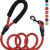 Petology Dog Leash 5FT Long, ½ Inch Thick Reflective Heavy Duty Rope with Anti-Slip Padded Handle for Small & Medium Dogs (Red, 5 Feet - Small & Medium Dogs)