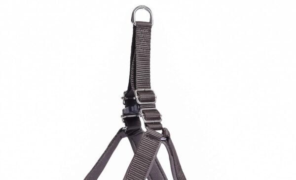 Stainless Steel Nylon Dog Harness with Choke Collar | Adjustable Durable Training & Walking Gear for Small, Medium & Large Dogs