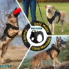 Dog Harness with Leash Small Medium & Large All Breeds for Dogs Harness Reflective Adjustable Belt Vest Harness (Tactical Harness with Leash) (Black) (Large Dogs)
