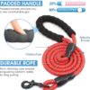 Petology Dog Leash 5FT Long, ½ Inch Thick Reflective Heavy Duty Rope with Anti-Slip Padded Handle for Small & Medium Dogs (Red, 5 Feet - Small & Medium Dogs)