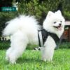 Dog Harness with Name id Customized for Small Dogs Puppy Harness Reflective Vest Harness Adjustable with Personalized Dog Name (Black)