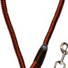 The Pets Company Heavy Duty Rope Dog Leash with Spring for Shock Absorption, 54" Length, Red