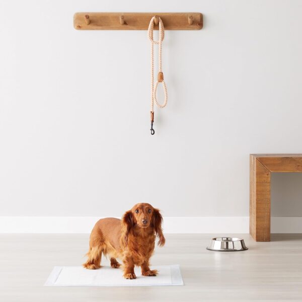 AmazonBasics Pet Pee Pads for Potty Training| Standard | Regular 56 x 56cms | 100 Pieces |Leak-Proof Quick Dry Design, 5-Layer, for Small Dogs and Puppies (Standard, Regular Size, 100 Pads)