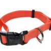 Neoprene Dog Collar with Leash Set – Durable & Adjustable Pet Collar for Large Dogs Orange (Set of 2-1 Collar & 1 Leash)
