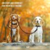 71mlLLcEogL._SL1500_.jpg ACTIVE PETS Strong Dog Rope Leash with Soft Comfortable Padded Handle and Highly Reflective Threads, Dog Leash for Small Medium and Large Dogs, Puppy Leash for Training Running and Walking (Orange)
