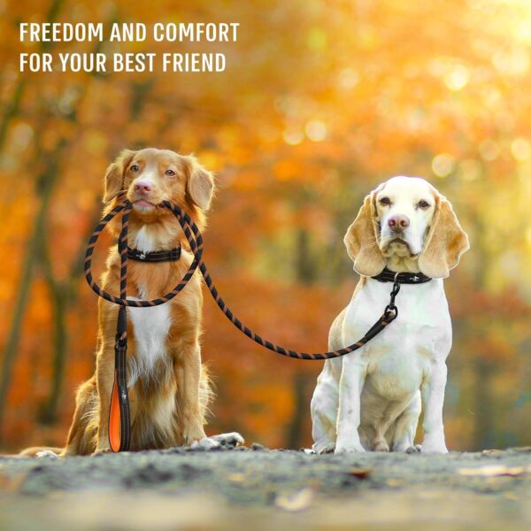 71mlLLcEogL._SL1500_.jpg ACTIVE PETS Strong Dog Rope Leash with Soft Comfortable Padded Handle and Highly Reflective Threads, Dog Leash for Small Medium and Large Dogs, Puppy Leash for Training Running and Walking (Orange)