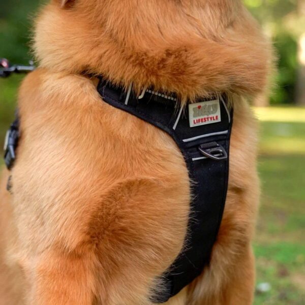 Zigly Lifestyle Shadow Guard Adjustable Dog Body Harness-Small - Black | Padded No-Pull Harness for Small Dogs & Puppies | Comfortable & Secure Dog Harness Daily Walks