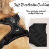 No-Pull Dog Harness with Custom Name Tag | Adjustable Reflective Pet Vest for Medium & Large Dogs | Soft Padded, Front & Back Leash Clip (Midnight Black, Medium)