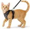 Buraq Pets Cat Harness with Leash for Outdoor, Walking, Escape Buraq Pets Cat Harness with Leash for Outdoor, Walking, Escape Proof, Air Mesh Fabric, Easy Control, Adjustable & Durable Cat Leash with Harness for Small Medium & Large Cats (XS - Grey)