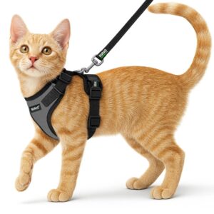 Buraq Pets Cat Harness with Leash for Outdoor, Walking, Escape Proof, Air Mesh Fabric, Easy Control, Adjustable & Durable Cat Leash with Harness for Small Medium & Large Cats (XS - Grey)