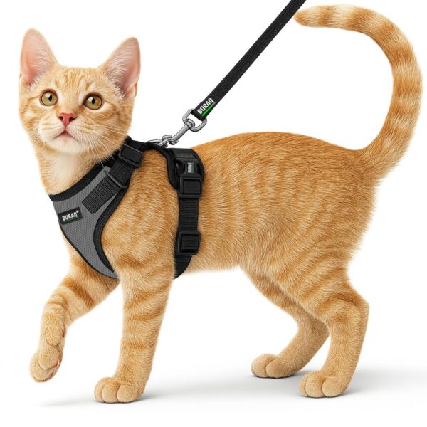 Buraq Pets Cat Harness with Leash for Outdoor, Walking, Escape Buraq Pets Cat Harness with Leash for Outdoor, Walking, Escape Proof, Air Mesh Fabric, Easy Control, Adjustable & Durable Cat Leash with Harness for Small Medium & Large Cats (XS - Grey)