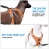 71nTcVDScqL._SL1500_.jpg HANK Dog Harness Leash Set - 3M Reflective Strap - Dog Body Belt - No Pull Harness - Dog Vest for Training - Walking (Orange - Grey - M (Harness + Leash)