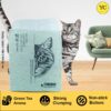 YellowCult Tofu Cat Litter Clumping & Flushable | Ultra Absorbent and Fast Drying | 100% Natural Ingredients | Ultra Odour Control | Really Dust-Free | Less Scattering [6 litres - Green Tea]