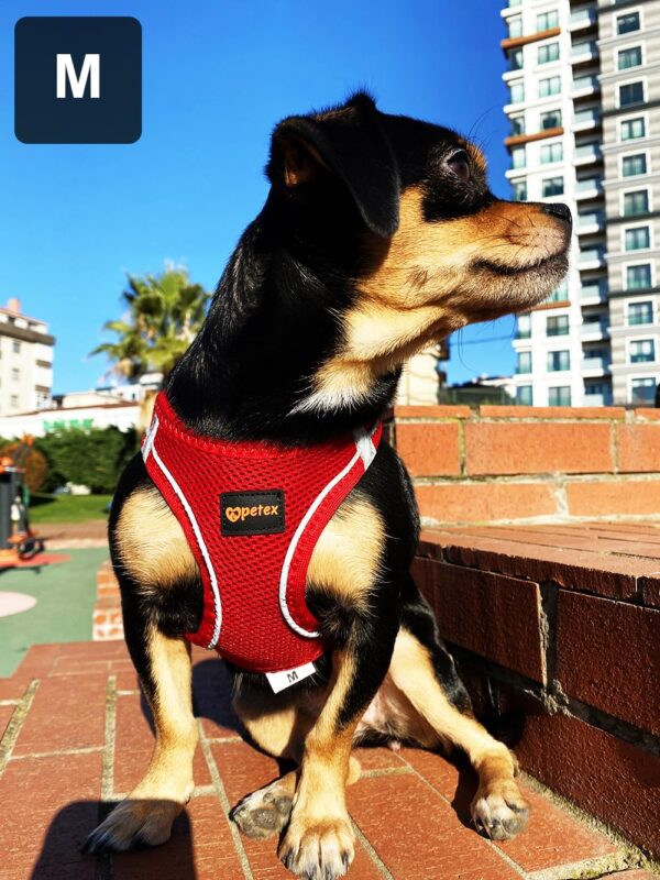 71naufoUrWL._SL1333_.jpg CATCHY Dog Harness for Puppy, Small and Medium Dog Breeds, Choke Free Puppy Harness, Reflective No Pull Dog Harness, Small and Medium Dog Vest Harness (Red, XS)