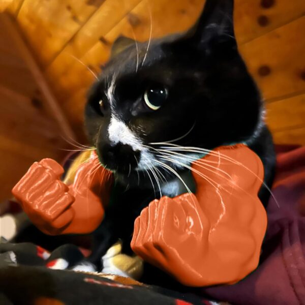 71nc1cWPIhL._SL1500_.jpg Cat Muscle Arm, Funny Pet Costume Accessory for Cats, Creative Cat Toy for Halloween Parties, Photo Shoots and Social Media Content(Orange)