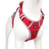 HANK Dog Harness | 3M Reflective | Strong Metal Hook | Dog Chest Belt for Large Dogs | No Pull Harness for Walking, Training (Red - Grey - L (23-35Kg)